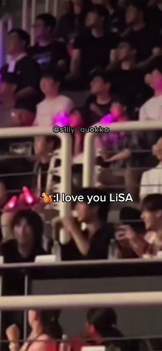 chan, hyunjin and han at LiSA's concert #LiSA #straykids #hanjisung #chan #bangchan #hyunjin