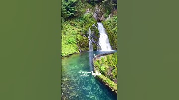 إني جزيتهم اليوم بما صبروا..♡ بصوت القارئ إسلام صبحي