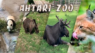 Ähtäri ZOO. В ГОСТИ К ПАНДЕ.КРУТЫЕ ВЫХОДНЫЕ