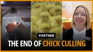 Respeggt is ready to end chick culling worldwide