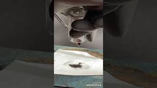 Do Not Touch Nitrogen Triiodide