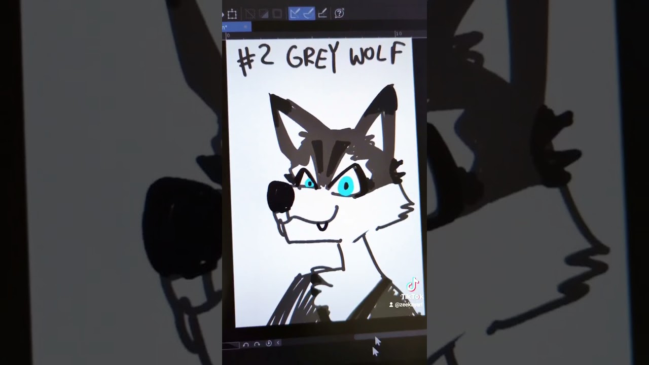 top five most common fursuits i have seen 