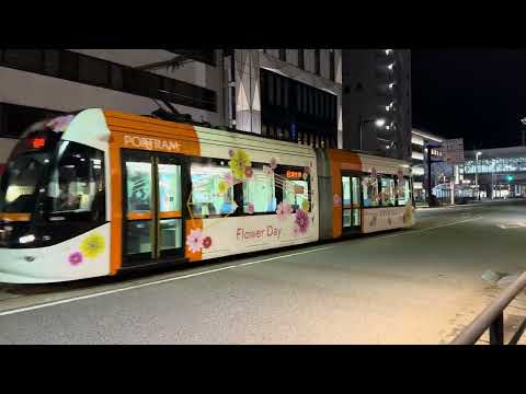 富山地方鉄道　フラワートレイン