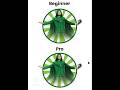 Sunburst Trick on Adobe illustrator