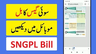 SUI Gas Bill Check Karne Ka Tarika | How To Check SNGPL Bill Online screenshot 3