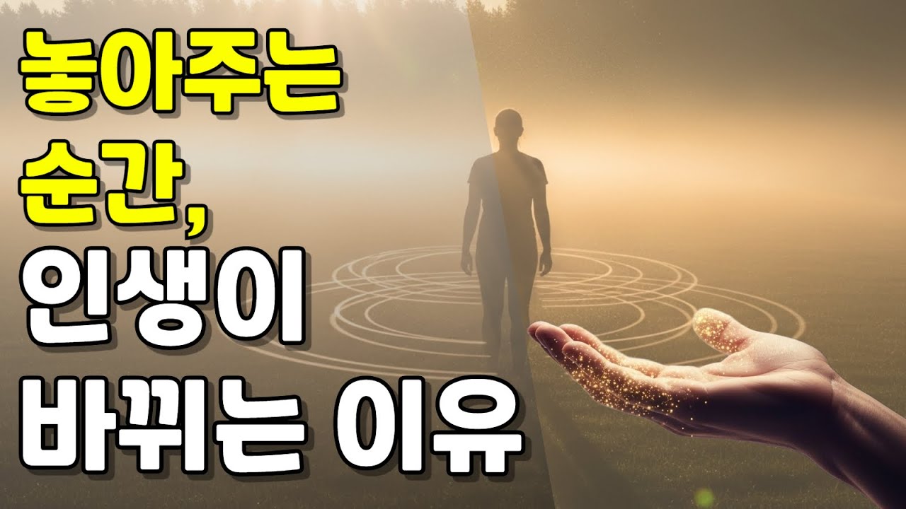 놓아주는 순간 인생이 바뀌는 이유
