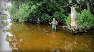 Дуже потужне місце по рибі !!! Залишилися на ніч.