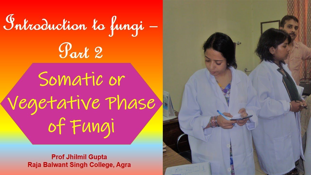 Introduction to fungi Part 2 - Somatic or vegetative structure of Fungi | Prof Jhilmil Gupta |