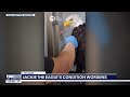 Jackie the Eagle's condition worsens
