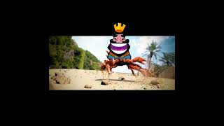 Heheheha Rave Spoiler