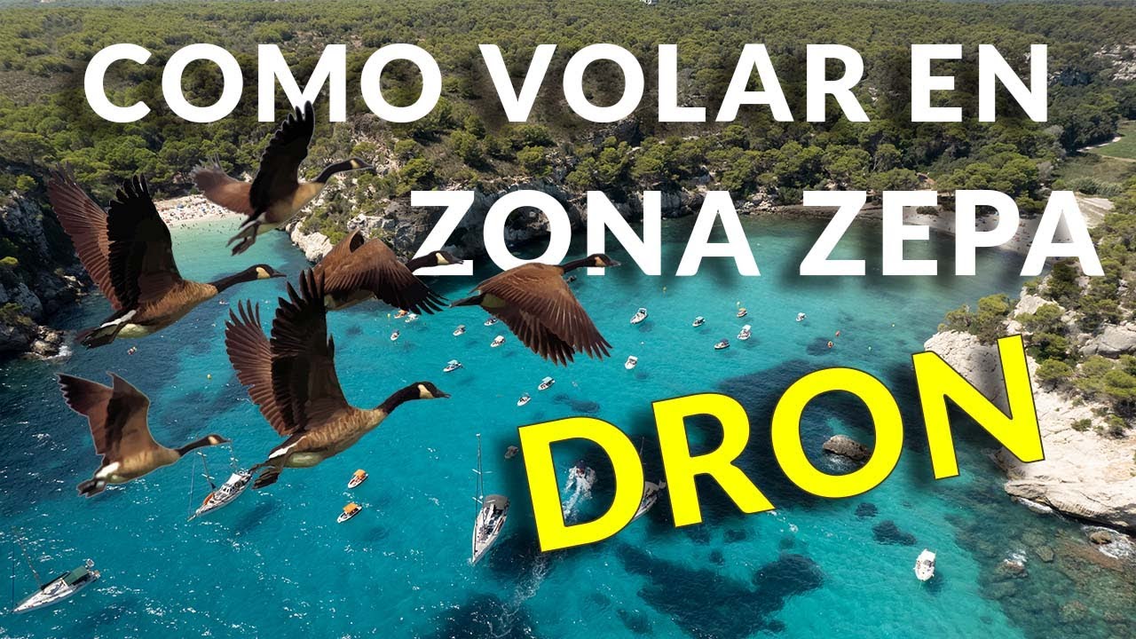 Como 🔴 (Pedir PERMISO) para VOLAR en ZONA ZEPA - Islas Baleares