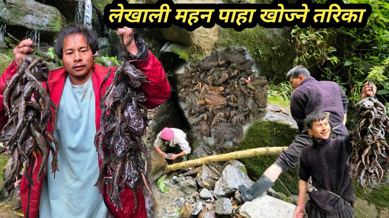 लेखाली महन पाहा खोज्ने तरिका यो बर्श पनि पाहा एति धेरै एकै दिन मा 8 KG भेटियो खोज्नलाइ सारै दुख्😭