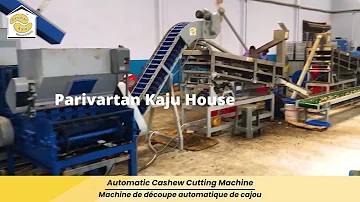 Mashine ya Kusindika Korosho na Mashine ya Kukata |Automatic Cashew Processing Machine +919512497976