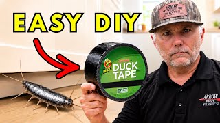 KILL EVERY Silverfish In Your Home-This Actually Works!