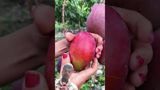 #mango 🥭#fruit cutting #trending video new #farming video