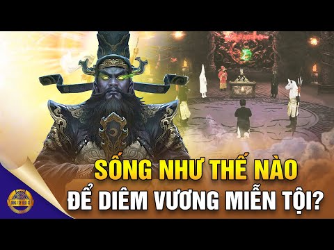 Video Từ Địa Ngục Trở Về Tiết Lộ: Người Thế Nào Được Diêm... - youtube