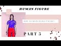 How to draw human figure   human figure  part  5