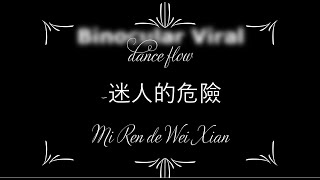 dance flow 迷人的危險 Mi Ren de Wei Xian (With Lyrics in Pin Yin also)