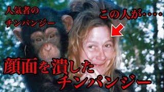 【閲覧注意】人間の顔を潰したチンパンジートラビス【人気者のチンパンジー？】