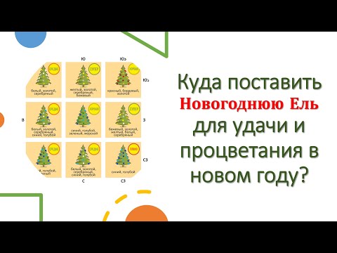 Куда поставить новогоднюю елку, для активизации процветания и удачи.