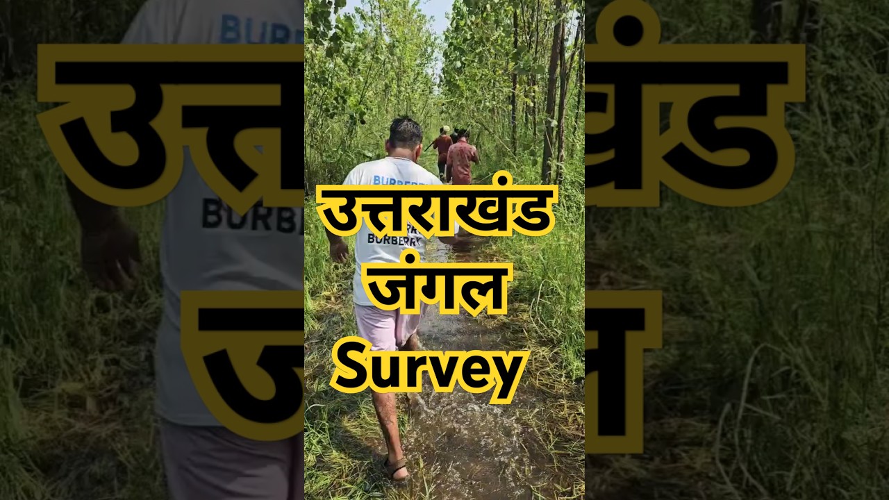 उत्तराखंड का जंगल | Real Forest Survey & Nature Walk II