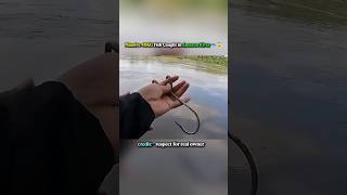 Massive 40KG Fish Caught in Amazon River 🐟😱