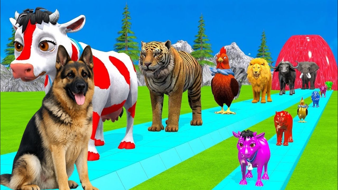 Long Slide Game With Elephant Gorilla Buffalo Hippopotamus Tiger 3d Animal Game Funny 3d Animals/70