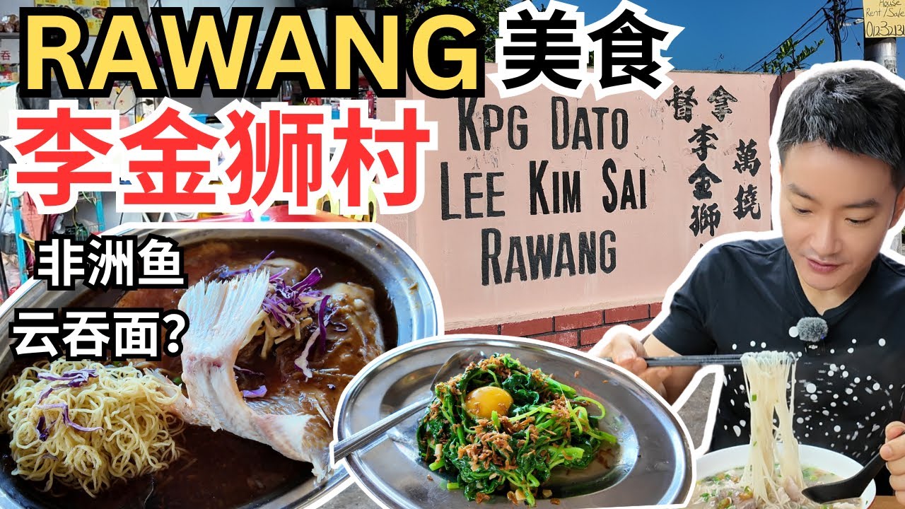 [万挠拿督李金狮村～美食] 一口气吃五顿早餐！非洲鱼云吞面?? 狗仔鸭，猪肉粉，焖板面，咖喱面，肥鸡卤味！Delicious Food in Rawang! Tilapia Wantan Mee!