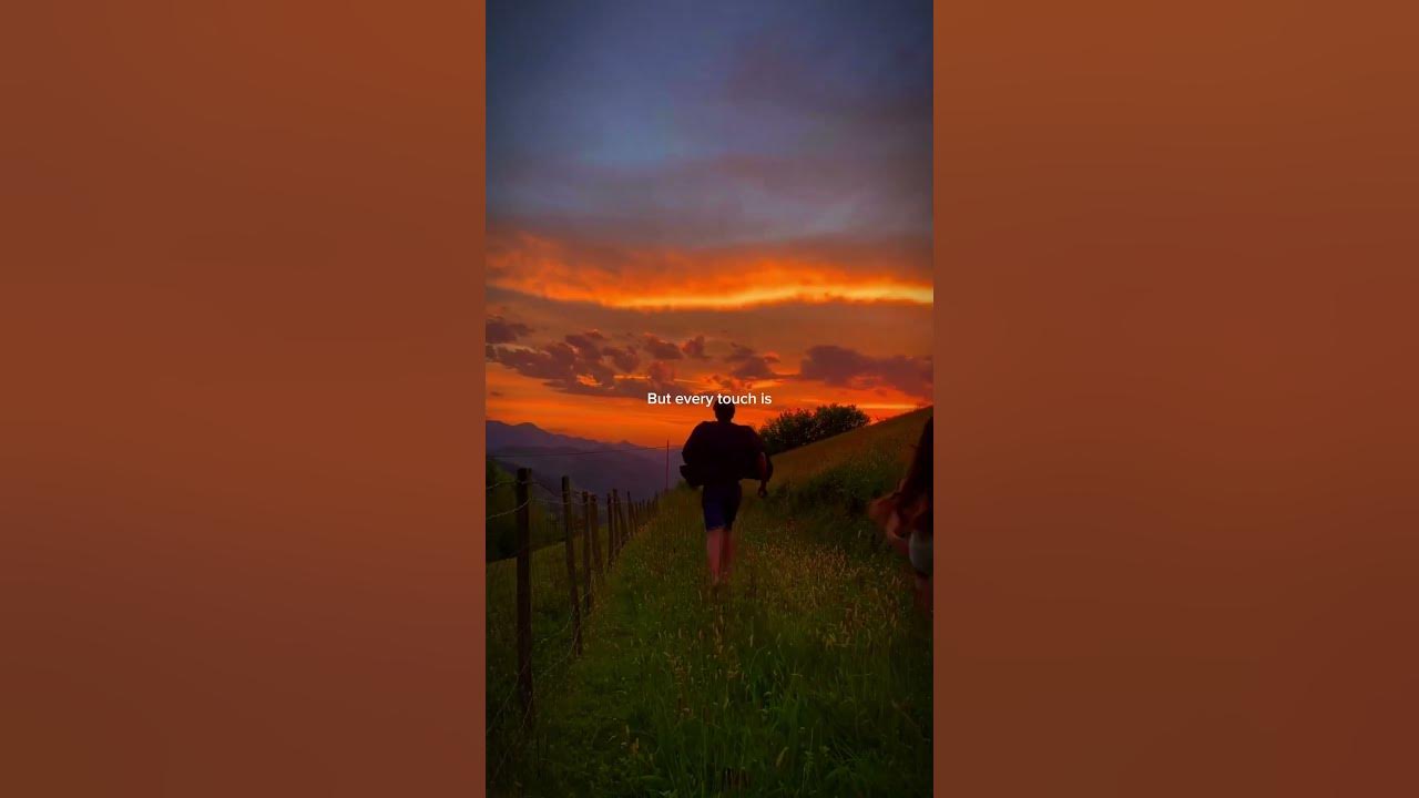 Señorita - Camila Cabello & Shawn Mendes (Lyrics) | I love it when you call me señorita | Aesthetic