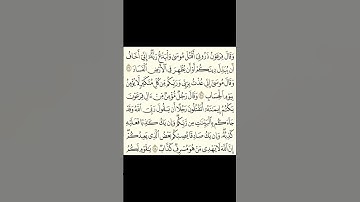 #سورة_غافر #اكسبلور #القرآن_الكريم #القران_الكريم_في_الصباح #القرآن #راحة_نفسية