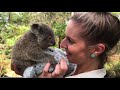 HAPPY SAVE THE KOALA DAY