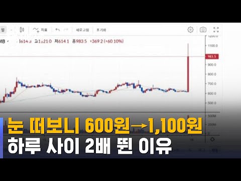   눈 떠보니 600원 1 100원 하루 사이 2배 뛴 이유 SBS 8뉴스