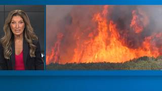 Ross fire west of Fort Worth holds at 90,000 acres; more than 100 cattle dead
The Ross Fire west of Fort Worth remains just over 90,000 acres and 30% contained. More than 100 cattle have died; cause is unknown. Ross fire west of Fort Worth holds at 90,000 acres; more than 100 cattle dead