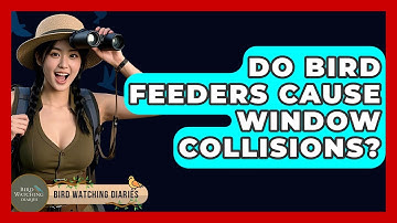 Do Bird Feeders Cause Window Collisions? - Bird Watching Diaries