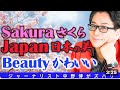 【Japan】Beauty Japan Sakura in Tokyo Chidorigafuchi Edo Park 桜の名所　千鳥ヶ淵緑道