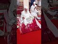 الشيخ العلامة الحاج الطيب السوسي شيخي في اللغة العربية