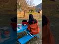 庭で採れた野草だけで天ぷらを作った日　#田舎暮らし #保護犬 #山菜料理 #まとめ動画