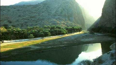 الدوكالي محمد العالم سورة AlQari'ah_القارعة