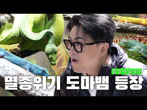 [전국자랑대회] 코쿤, 김대호 단골집 점검! | 동물원에서도 보기 힘든 파충류에게 집을 지어주는 남자