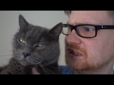 Video: 5 ting om katte og hunde, du ikke vidste