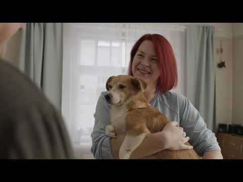 Video: Kā saglabāt savu suņu izbēgt no priekšējās durvis
