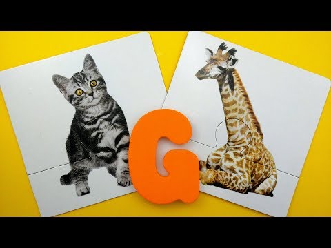 Nome de Animais Começados com a Letra G | Video Educativo Infantil | Brink & Aprenda