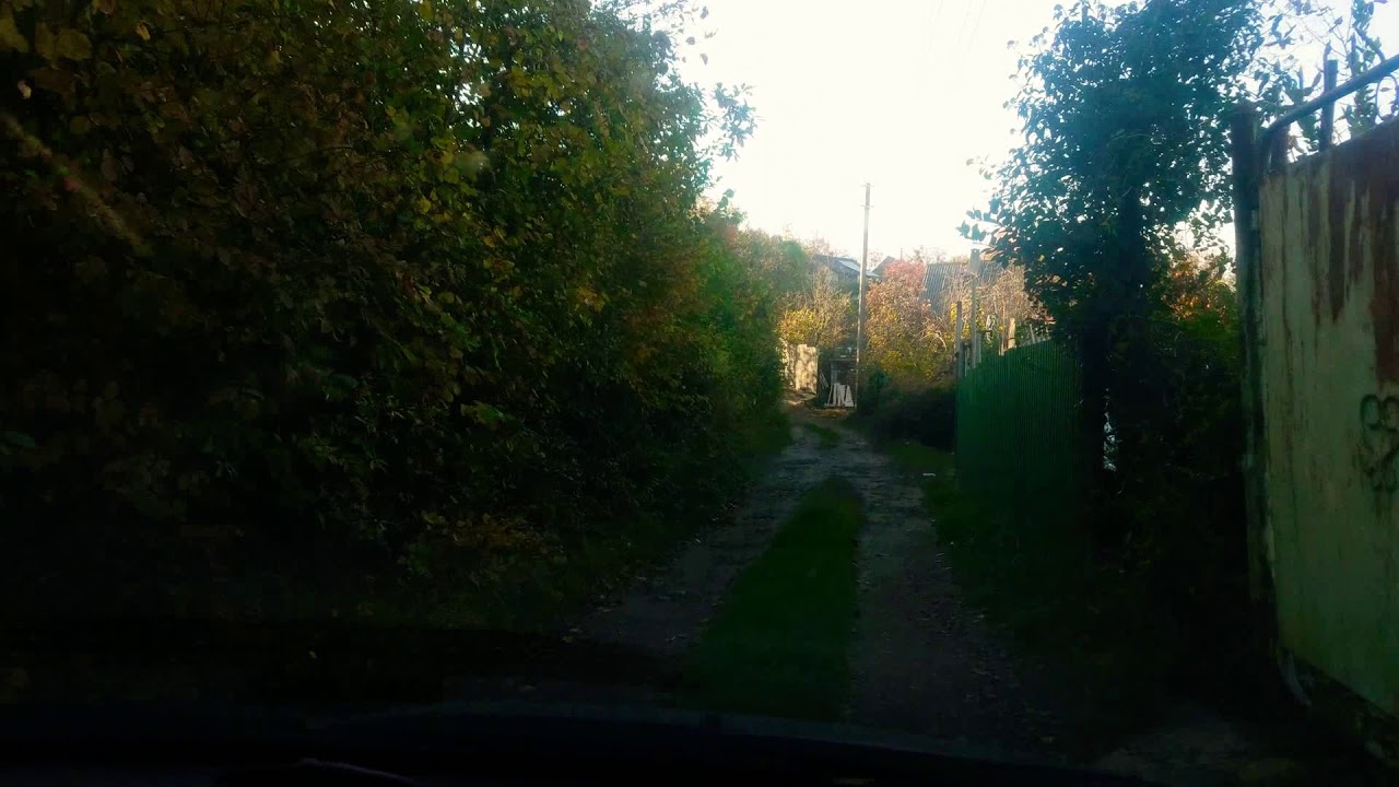 Хонде в купальнике