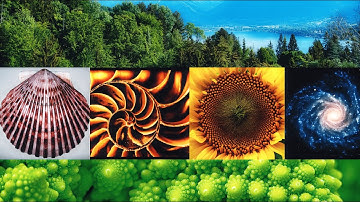 The Hidden Math in Nature: Fibonacci, Golden Ratio, and Fractals