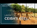 Laying Ceiba's Keel - SAILCARGO INC.