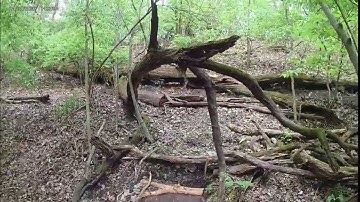 How to Build a Cedar Log Bridge and a Forest Trail - All Videos Combined