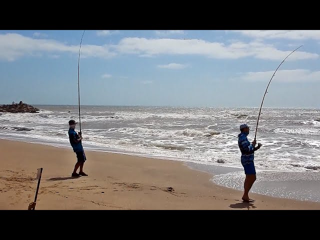 Pescar en Mar del Plata