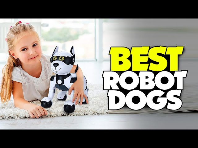 Roby the mBot Meccano Scratch Robot Dog, Tech Age Kids