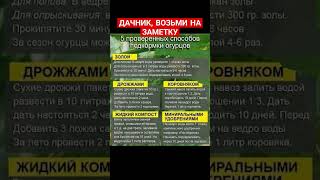 Дачные советы огородникам #советы #дача #огород #огурцы