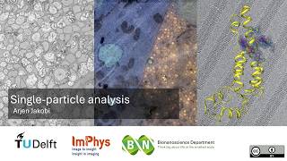 Single-particle analysis